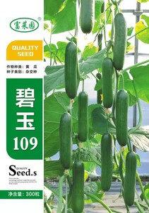 碧玉109（300粒）
