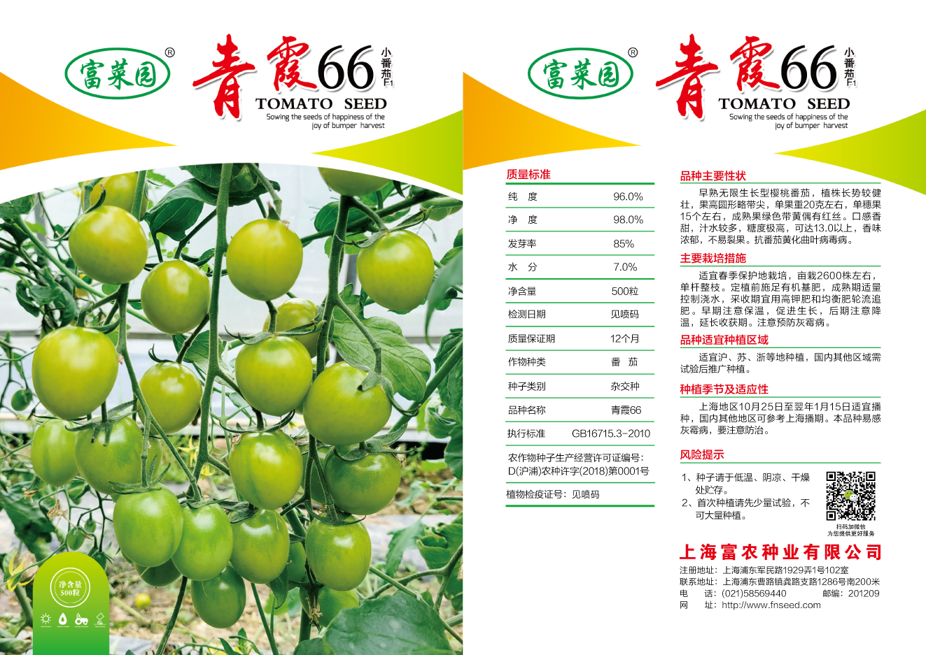 青霞66（500粒）